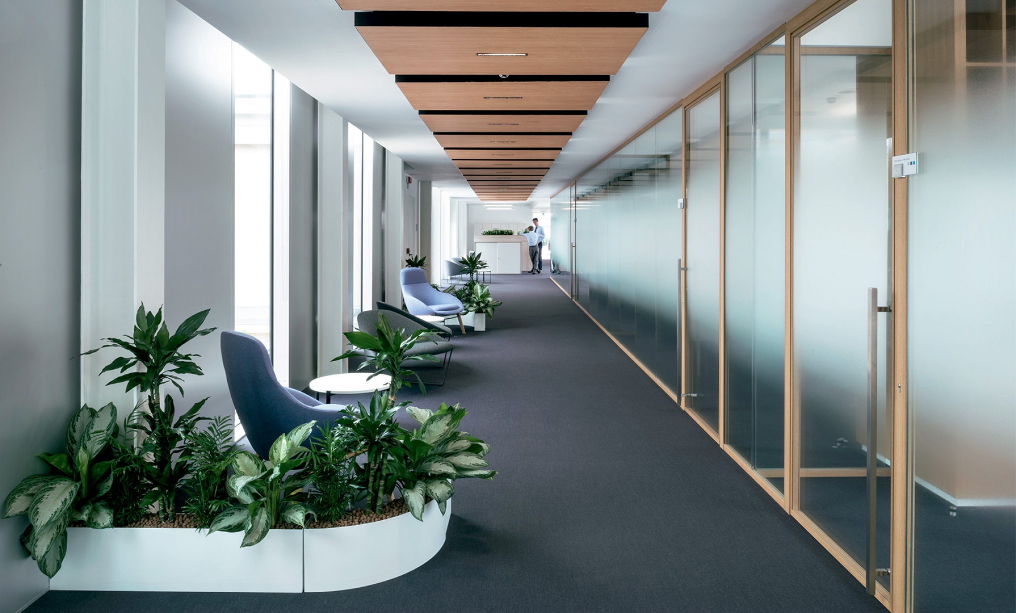 Glass partitions for greater privacy - Galvolux